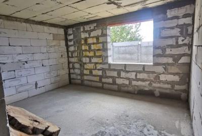 Casa la rosu în Plaiul Vulcănești - 3