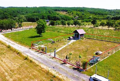 VIDEO | Loc pentru casa, cabana sau cazare turistica in Ardud | Vedere de vis sp - 1