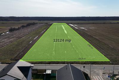 Teren 13.124 mp cu PUZ lotizare locuințe P+2E | Buftea | Investiție - 3