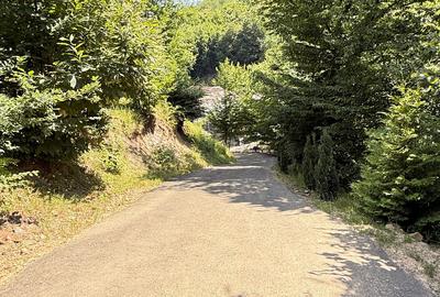 Valea Rosie, teren intravilan 3434mp, langa padure. - 9