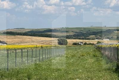 Teren intravilan, lot 1000mp , Zona Zăicești- Botoșani