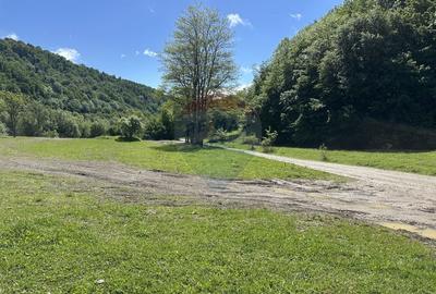 Teren 1,340mp Cuejdiu / Strada Cuejdiului - 3