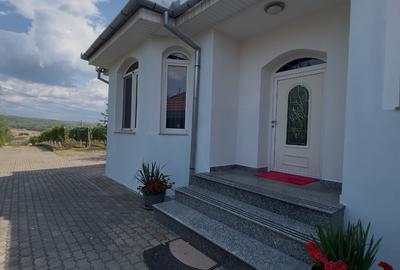 Casă individuală cu 10 camere în Băile Felix