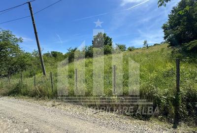 Teren intravilan | 1654 mp | 21 ml deschidere | Seigau - 4
