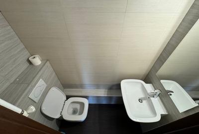 Proprietar inchiriez apartament 3 camere zona Unirii - fantani - 13