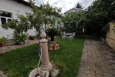 Casă Renovată cu Grădină | 227 mp | 3 Terase | 3 Dormitoare | Milcov - 4