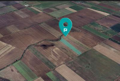 Teren agricol extravilan de 8700 mp, în Sacoșu Turcesc