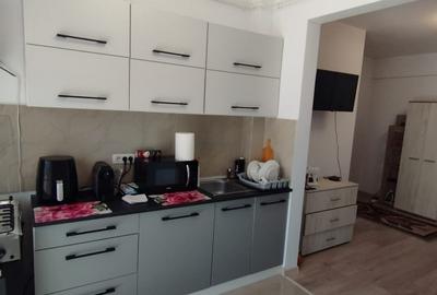 APARTAMENT 2 CAMERE, PARTER, MOBILAT SI UTILAT, PARCARE, POPAS PACURARI - 8
