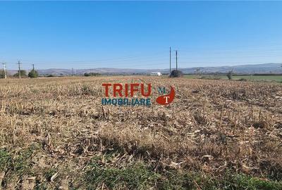 Teren Construcții intravilan de 2900 mp, în Ampoi 1
