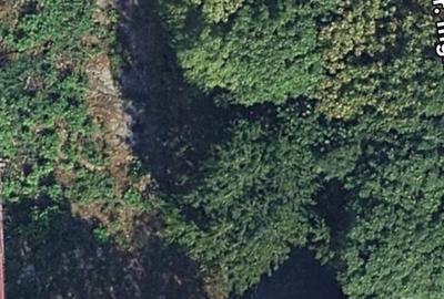 TEREN 1.000 MP | PARC CAROL | DUBLA DESCHIDERE - 1