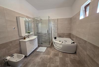 Inchiriez apartament premium ultracentral Deva - 6