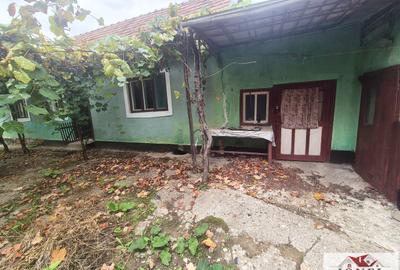 Casa veche de vanzare in Ohaba - 8