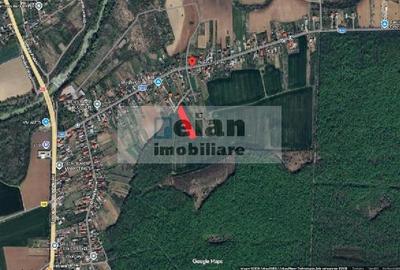 Ciolpani - Teren La Liziera Padurii 1234 Mp, Dn1 Toate Utilitatile - 4