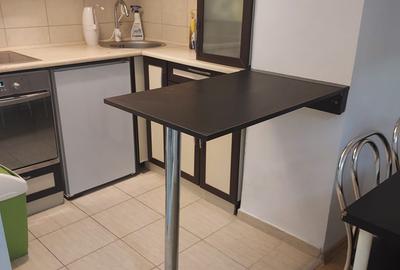 Inchiriere garsoniera ultracentral, renovata, 400 euro - 5