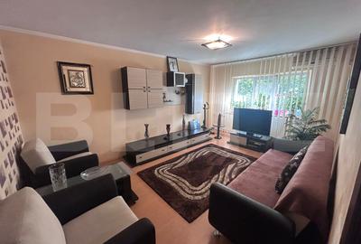 Apartament cu 2 camere decomandat, mobilat în Brazda lui Novac
