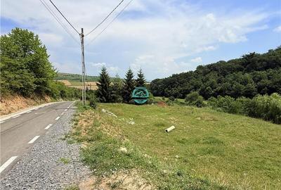 Vand teren 2500 mp in Unirii zona Laboratorului Denisa - 1