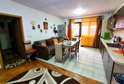 Casa individuala 100mp teren 530mp Terezian - 11