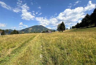 Teren intravilan la munte Pasul Tihuta - 1