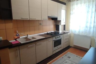 Inchiriere ap 2 camere , 55 mp , Florilor - 8