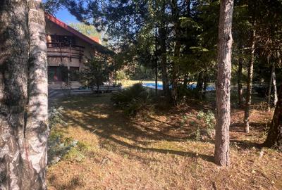 Paradisul Verde, 2.000 mp pentru o reședință care intră în elita cartierului - 12
