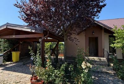 VANZARE CASA INDIVIDUALA/110MP UTILI/TEREN 550MP/DUMBRAVENI BALOTESTI - 8
