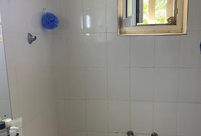 Apartament-3 camere,Domenii-bd Ion Mihalache - 10