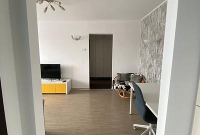 PIATA MUNCII , APARTAMENT 2 CAMERE INCHIRIERE, - 12