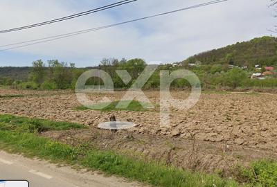 Teren intravilan 21.000 mp de vânzare – Suseni, Comuna Bogați, Județul Argeș - 12