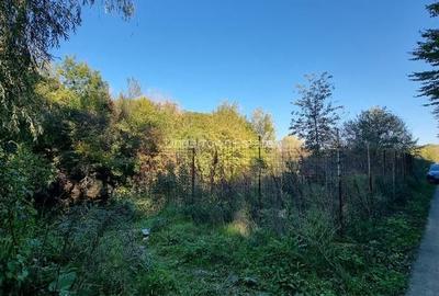 Teren Intravilan Unic pe Malul Lacului Snagov – Ideal pentru Cabana Ta - 6