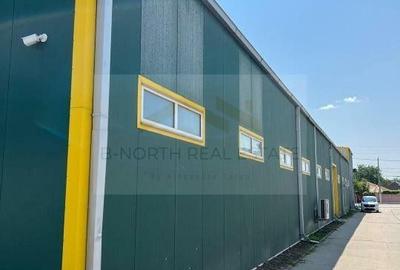 OTOPENI ODAILE HALA Productie si depozitare 1000 MP - 4