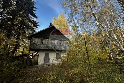 Teren de 900 mp cu cabană rustică, într-o zonă liniștită - 1