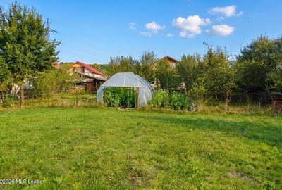 Curtea de Arges - Casa P+M, 270 mp, Teren 3149 mp - 25