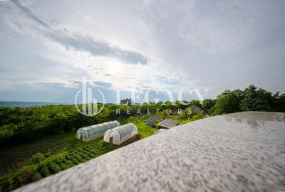 Vilă Exclusivistă în Copou – 680 mp Utili | Teren 1.414 mp - 45