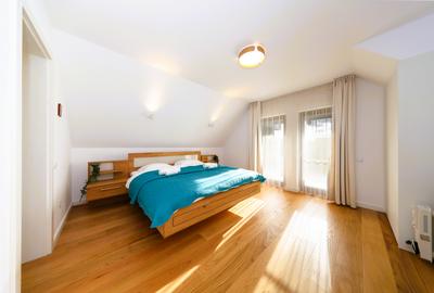Vila de poveste spre inchiriere termen lung - 19