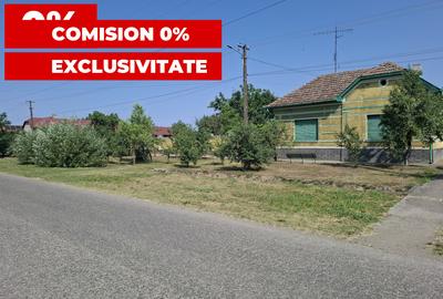 CASĂ MARE în Nădlac cu teren generos 2095mp - 1