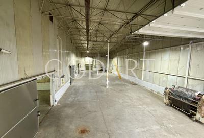 Hală industrială de închiriat | Acces TIR - 15