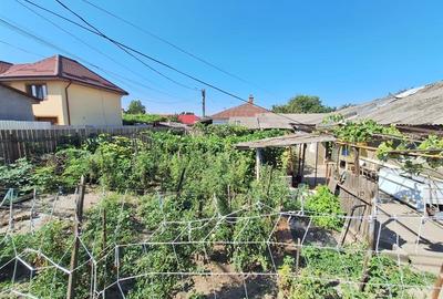 Teren 371 mp curti constructii+casa 5 camere si anexe, zona Izvoare - 23