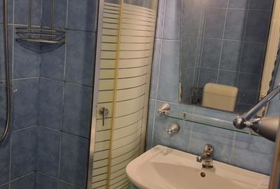 Apartament 2 camere, parter, mobilat – Petrișor - 10