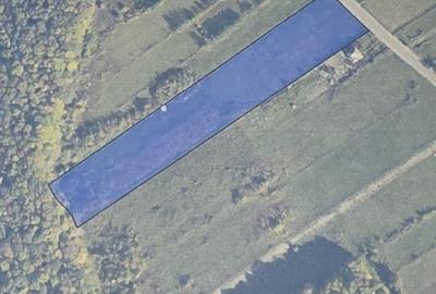 Teren agricol extravilan de 10000 mp, în Grajduri