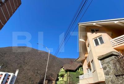 Casă individuală cu 7 camere în Băile Herculane