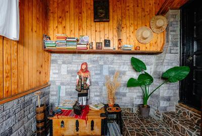 Pensiune de vânzare, Corbșori (Poenari)| potențial real de Business - 28