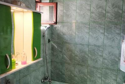 Apartament incadrat, izolat, orientat catre est, cu centrala cu gaz - 5