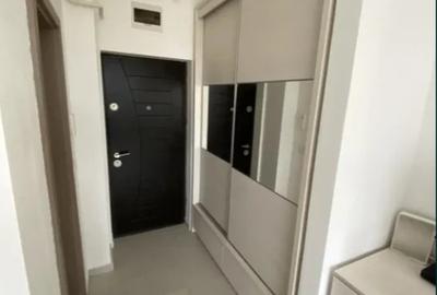 Apartament cu 1 camera tip studio in Tatarasi-Doi Baieti - 5