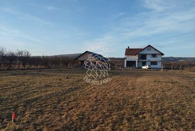 Teren 3500 mp-livada-Rusu Bargaului 13km de Bistrita - 1