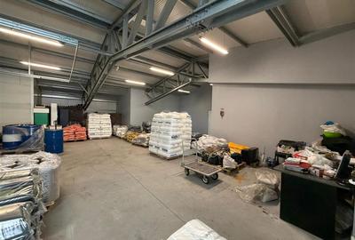 Spațiu Industrial Modern | Producție, Depozitare, Logistică - 13