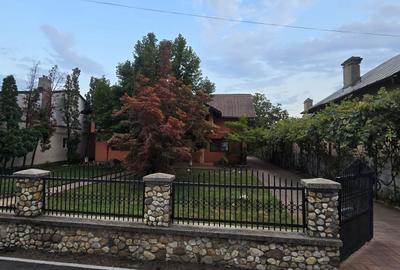 Vânzare Proprietate deosebita cu piscina, Gura Ocnitei Dambovita - 7