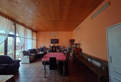 Casa cu gradina si foisor in Brazii Arad - 6