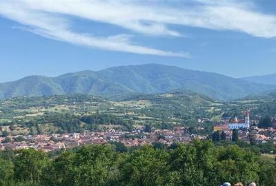 Teren de vanzare in Rasinari - 5