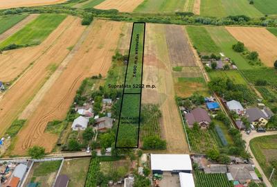 Teren agricol intravilan de 5292 mp, în Todirești