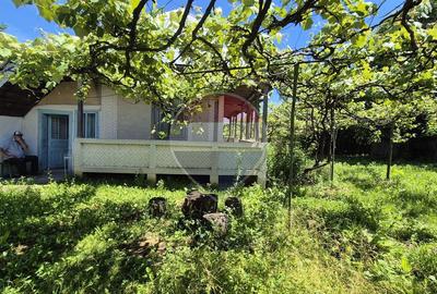 Oportunitate excelentă: Teren generos de 3.500 mp în Comuna Răucești - 3